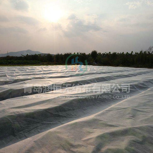 2021年安庆农用无纺布在未来的发展如何