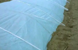 介绍安庆农用无纺布的掩盖方法