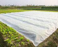 安庆农用无纺布市场是否会有大的发展前景？
